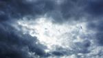 Ciel : (