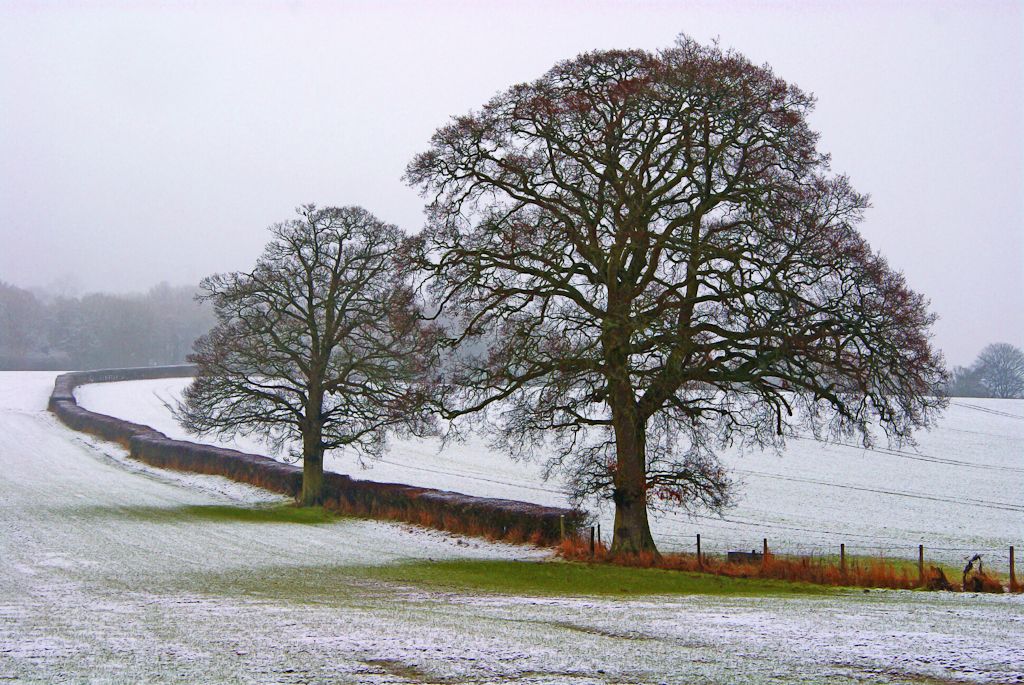 I spotted this landscape on the way to work one Winters day.