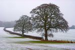 I spotted this landscape on the way to work one Winters day.