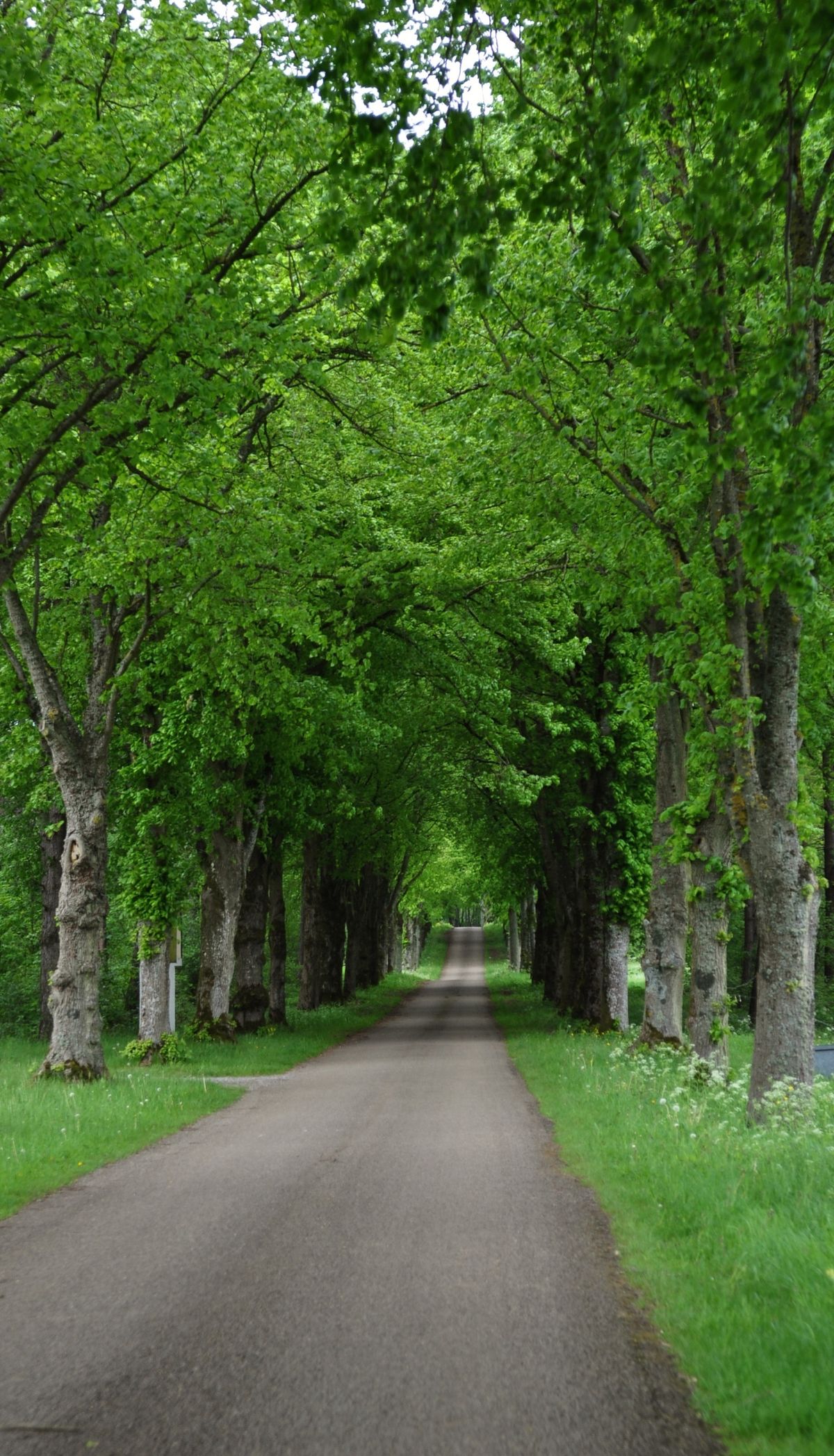 Bure, belgique 