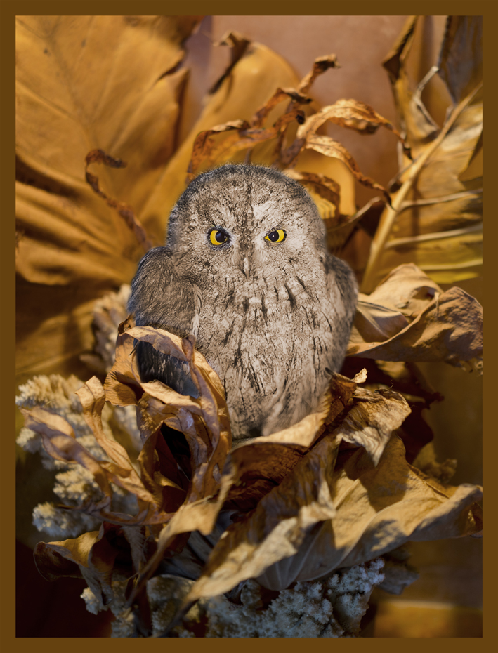 SEYCH2.jpg SEYCH2.jpg