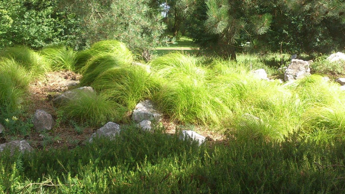 Aufgenommen mit dem XPERIA S. Ein spaziergang im Botanischen Garten in Düsseldorf