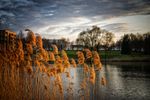 Photo du lac de Lognes en France, Printemps 2014 fait le Sony A7r, 50mm f