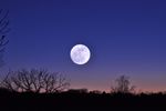 Once in a Blue Moon