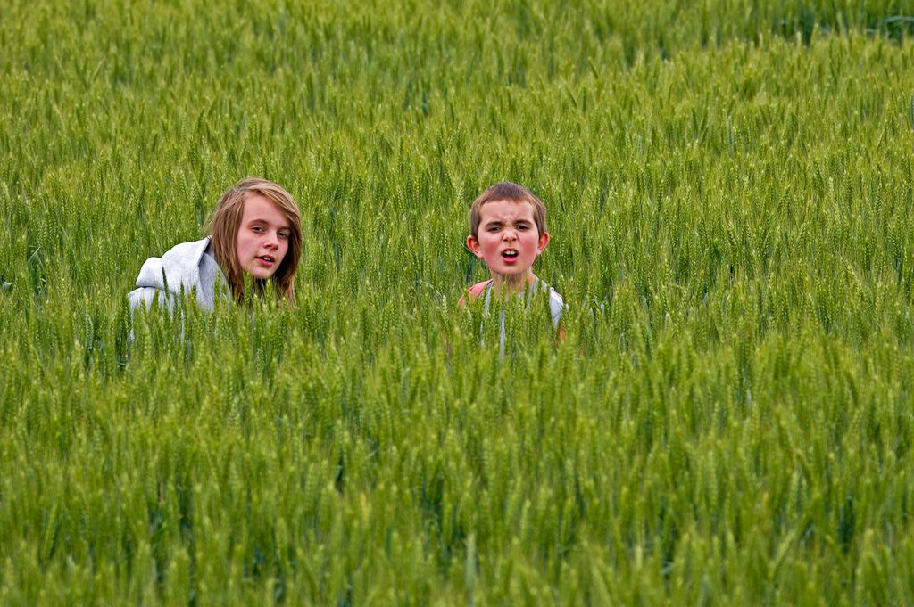 My eldest daughter and son were playing in a field when they disappeared from sight.  I called out their names and took this as they popped up.