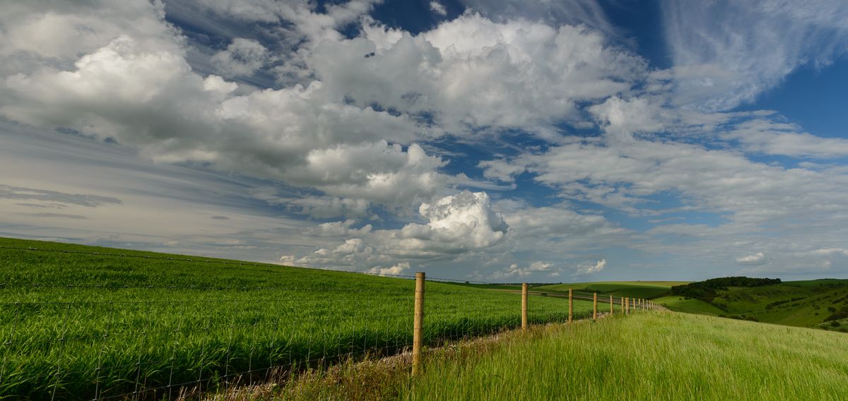 Late springtime in the rolling landscape of the Yorkshire Wolds, England.