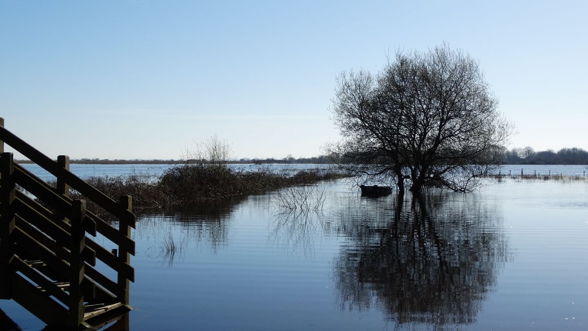 La Grande Brière (Loire Atlantique) sous les eaux en février 2014