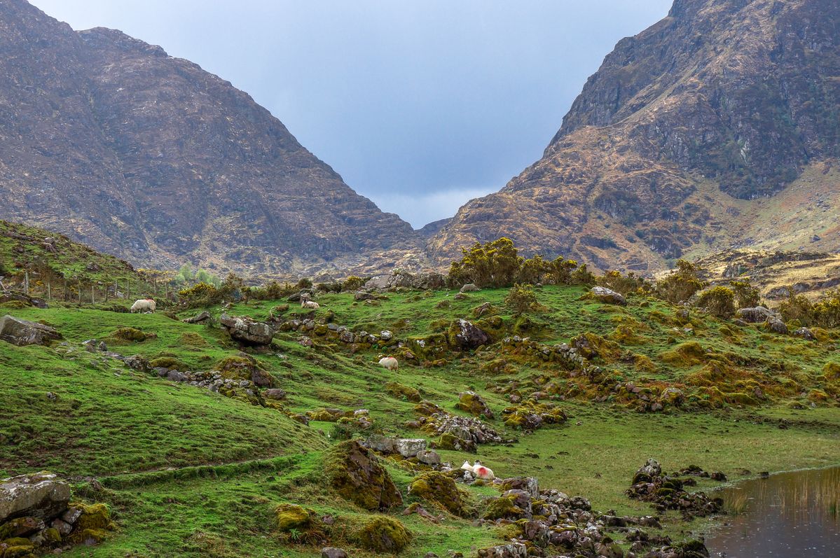 Moll's Gap Killarney Ireland