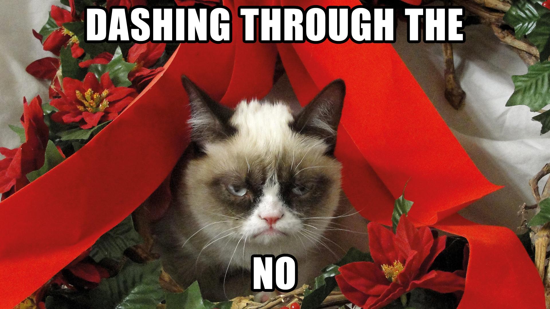 Christmas-Cat-Pics.jpg