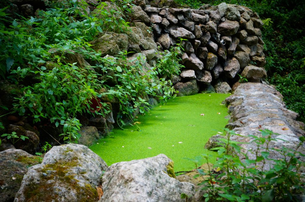 Verde speranza