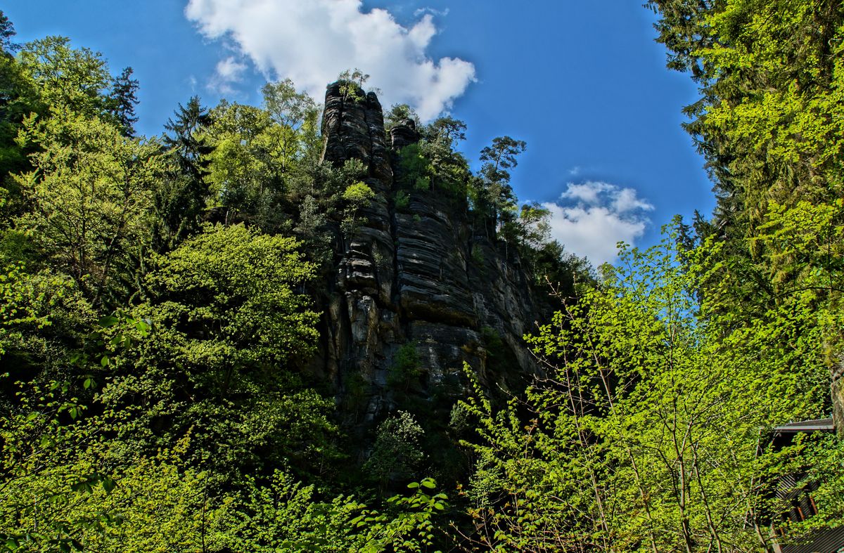 Oberhalb des Amselfalls
Kurort Rathen