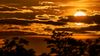 Sonnenuntergang im Ried