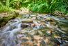 "Wildbach Flair" auch in Konstanz