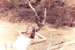 Public (Honorine.NJ)